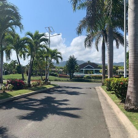 Nature'S Choice Home Richmond Palms, Jamaica מראה חיצוני תמונה