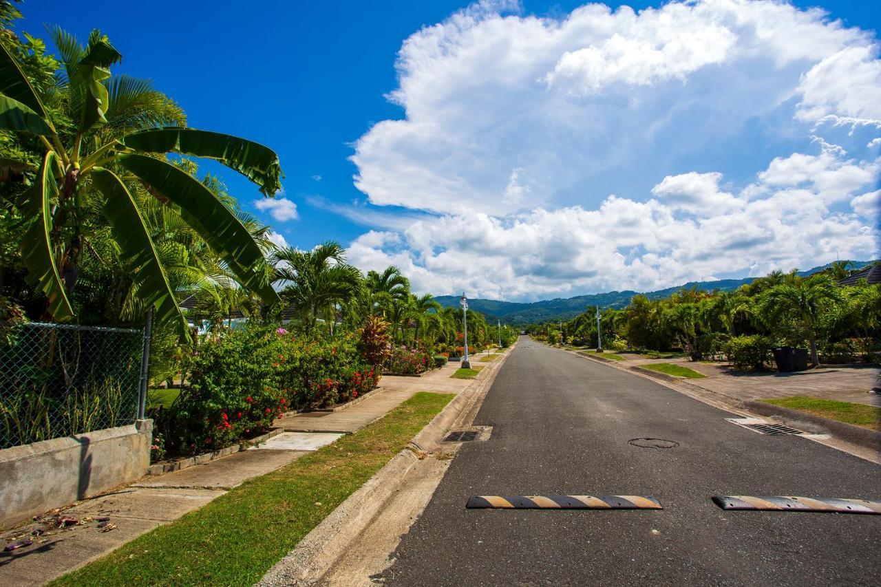 Nature'S Choice Home Richmond Palms, Jamaica מראה חיצוני תמונה