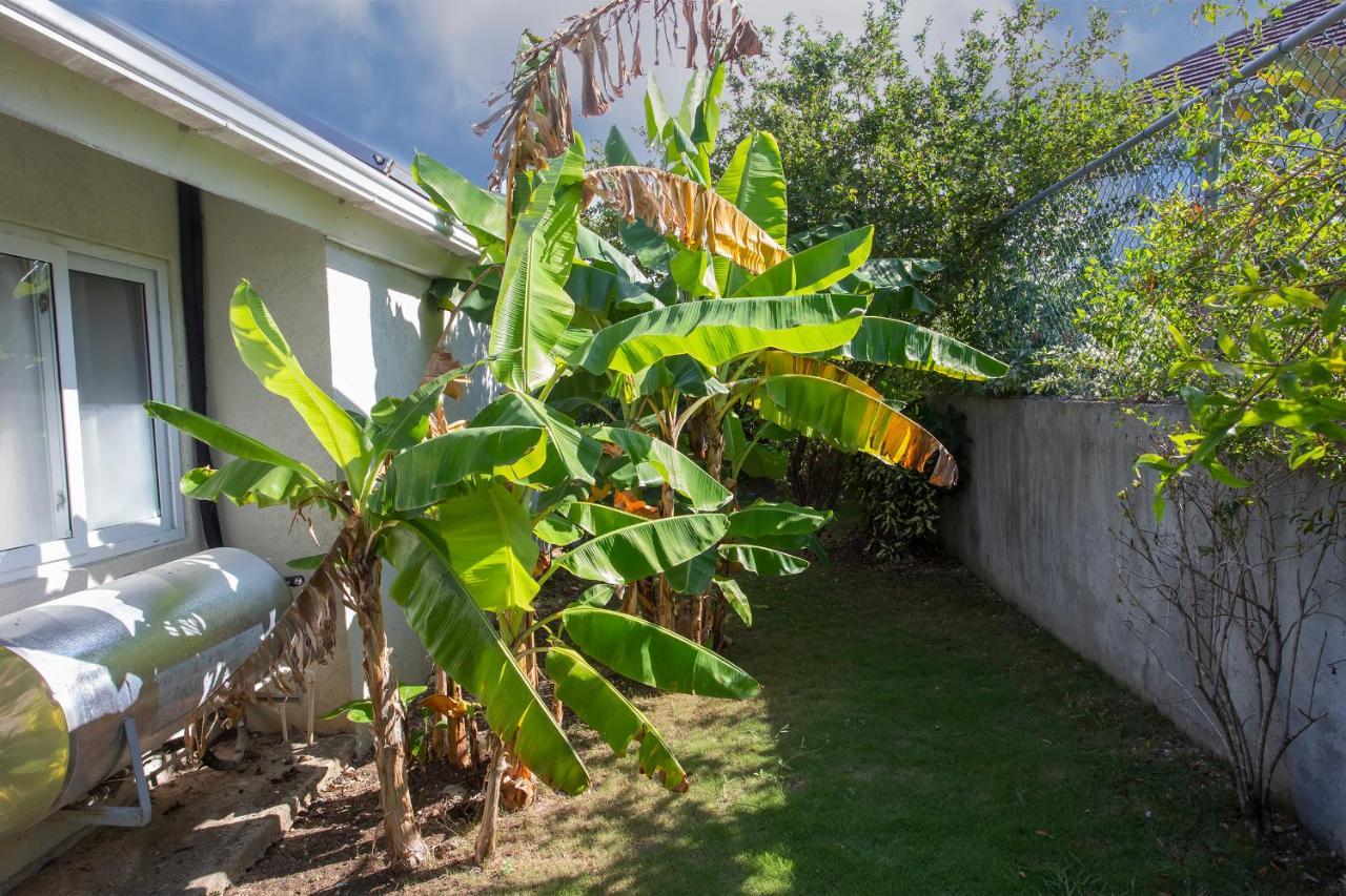 Nature'S Choice Home Richmond Palms, Jamaica מראה חיצוני תמונה